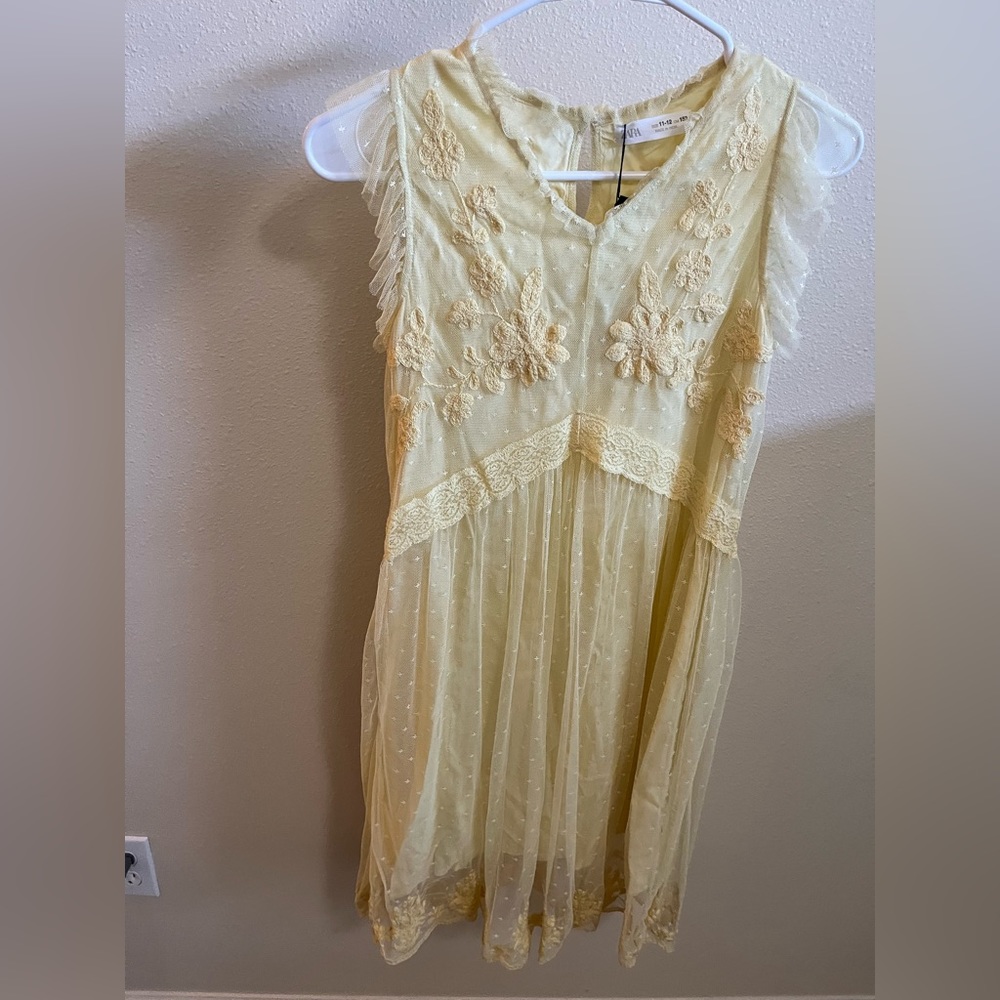 Zara dress